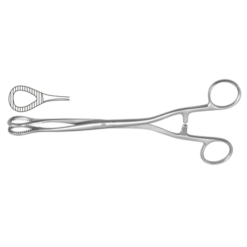 Sponge Holding Forcep